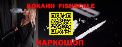 крисы Новодвинск