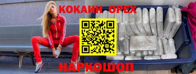 крисы Новодвинск