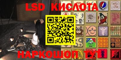 крисы Новодвинск
