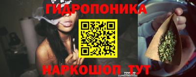 не бодяженный Новозыбков