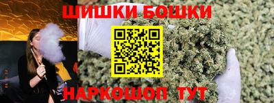 крисы Новодвинск