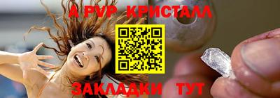 крисы Новодвинск